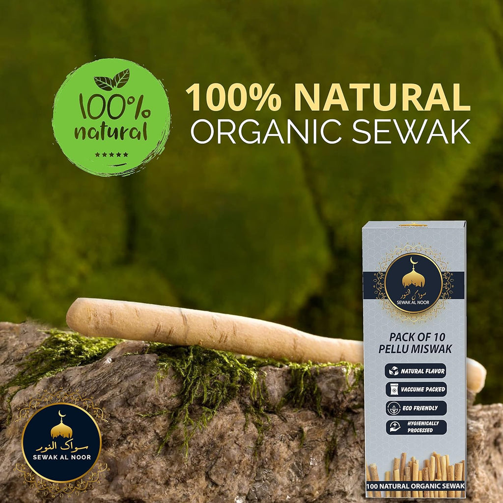 Pack of 10 Miswak Sticks for Teeth with Holder - Vacuum Sealed Natural Flavored Chew Sticks for Humans - Natural Toothbrush for Teeth Whitening, Oral Health & Fresh Breath || Pack of 10